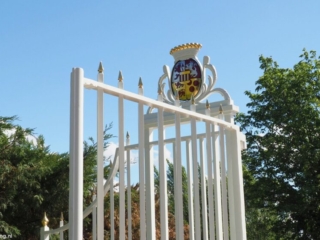 P5241329