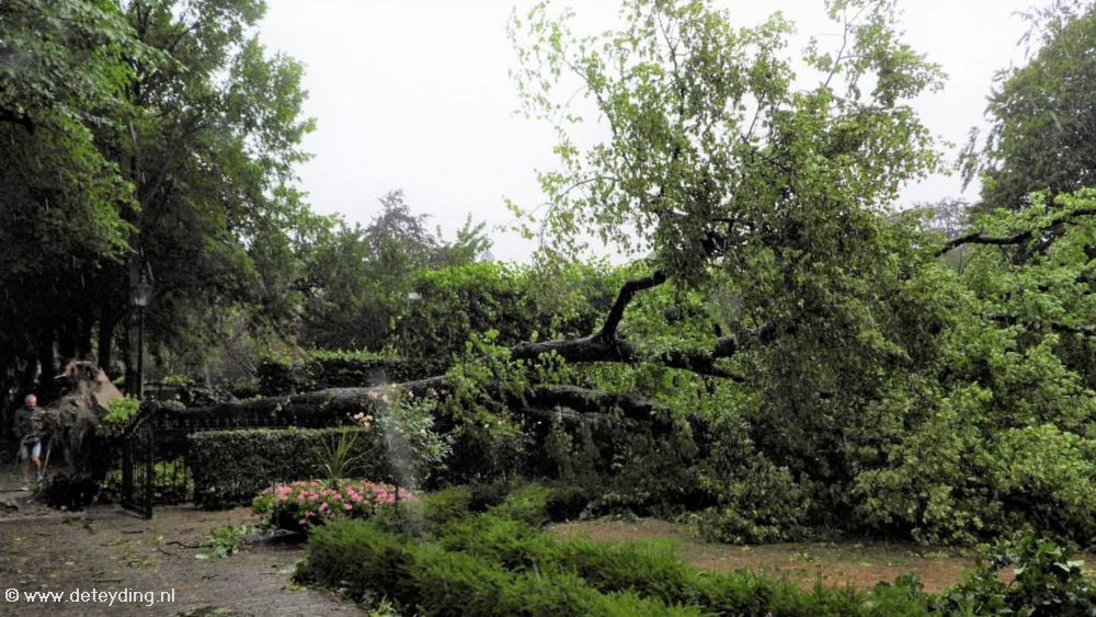 20230705 Storm poly over Teylingen Mariska, Hubert, Bart_03