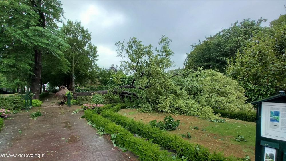 20230705 Storm poly over Teylingen Mariska, Hubert, Bart_07