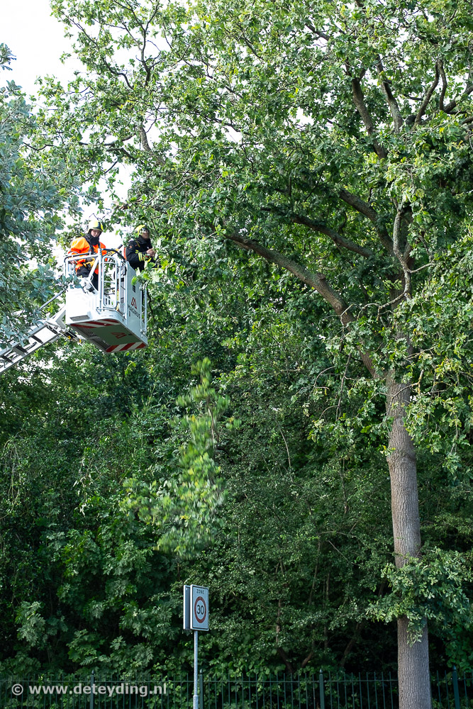 20230705_JPGouverneurlaan_DSCF0653