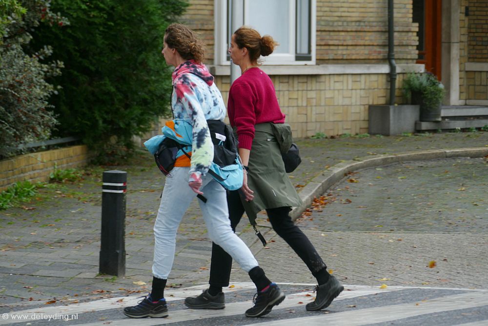 4daagse Bollentocht AvdHeiden0042